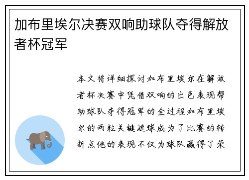 加布里埃尔决赛双响助球队夺得解放者杯冠军 加布里埃尔决赛双响助球队夺得解放者杯冠军