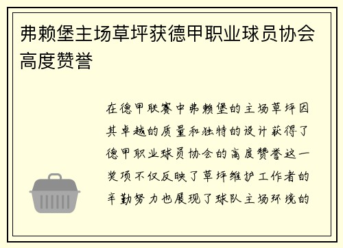 弗赖堡主场草坪获德甲职业球员协会高度赞誉 弗赖堡主场草坪获德甲职业球员协会高度赞誉